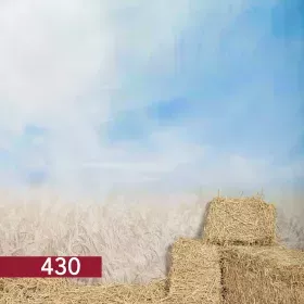 430 Season and Decades