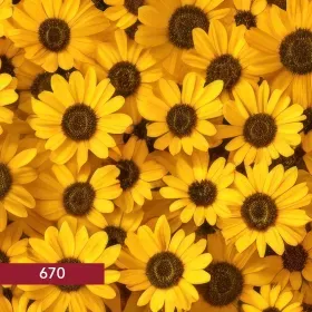 670-Flora-and-Fauna